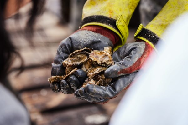 Responsible Sourcing